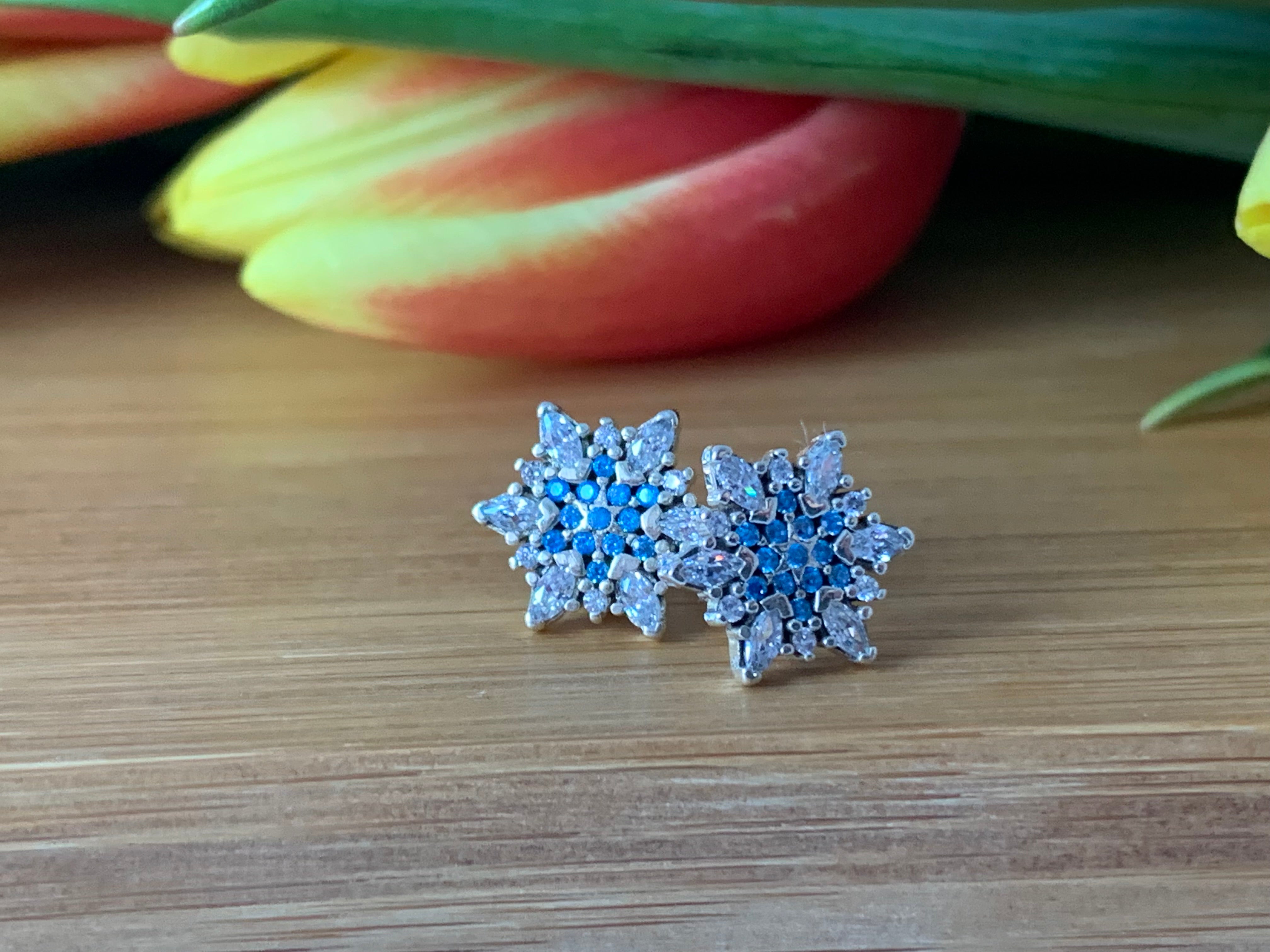 Silver Earrings for Women